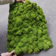 仿真苔藓草皮草坪人工四季 通用人造青苔室内造景垫子草地布置地毯