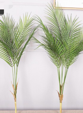 仿真椰子树假椰树造景塑料针葵树道具小型棕榈树植物落地绿植装饰