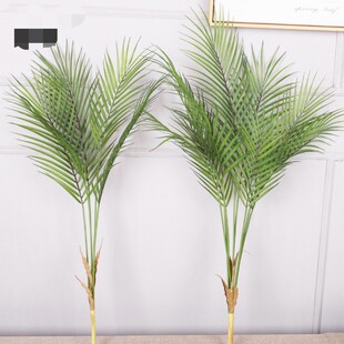 仿真椰子树假椰树造景塑料针葵树道具小型棕榈树植物落地绿植装饰