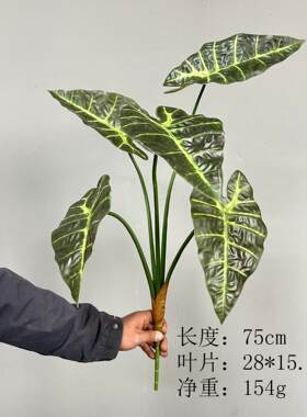 仿真芋叶苹果叶桉树叶绿植假植物