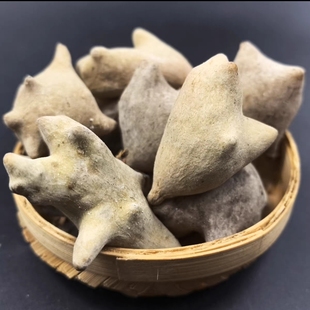 湖北野生五倍子中药材蛇床子五倍子中药粉末五倍子粉五贝子百虫仓