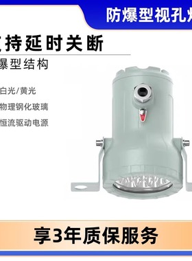 BAK51防爆视镜灯led视孔灯反应釜内视容器罐观察窗聚光射灯36V24V
