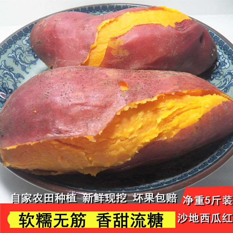 新鲜红薯沙地红心板栗薯农家当季现挖西瓜红番薯糖心地瓜3/5斤装