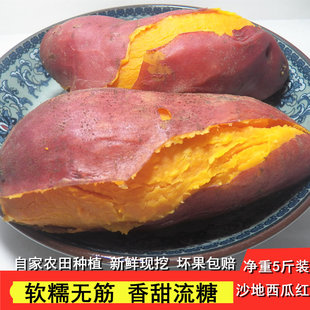 新鲜红薯沙地红心板栗薯农家当季现挖西瓜红番薯糖心地瓜3/5斤装