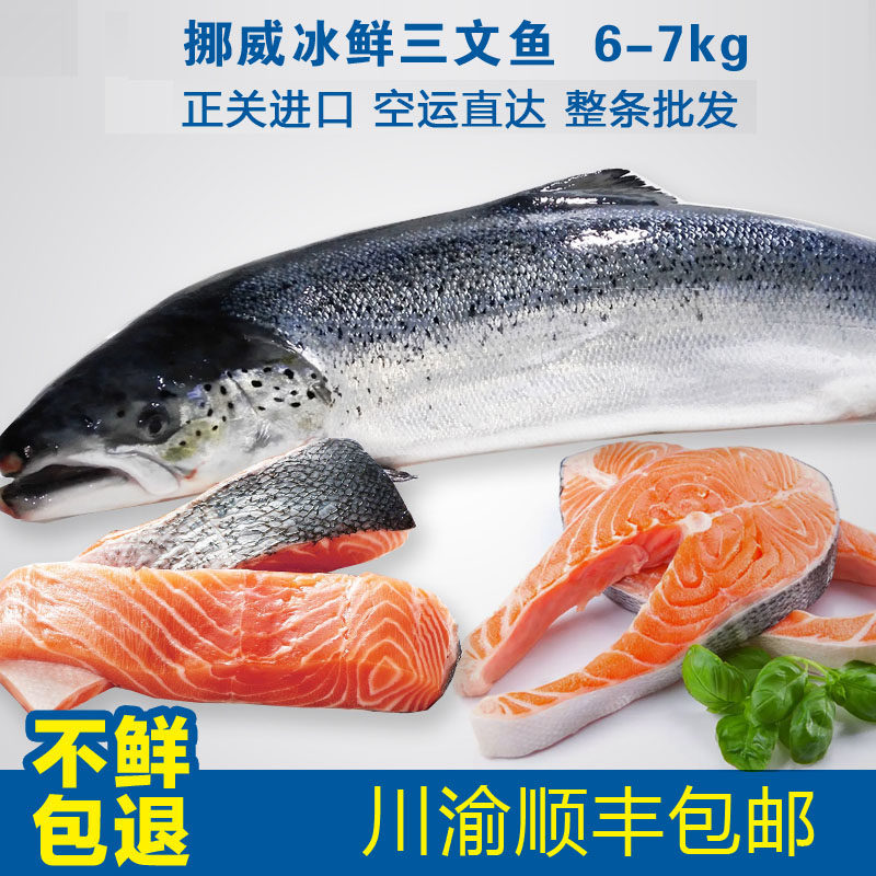 [实体店]进口冰鲜 挪威新鲜三文鱼整条5-8kg原条鱼 整条 13份起拍