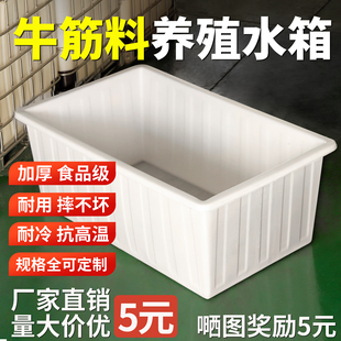 大号加厚牛筋塑料水箱长方形储水桶水产养殖方桶养鱼卖鱼牛筋浅盆