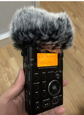 TASCAMDR-100MK3录音笔防风罩