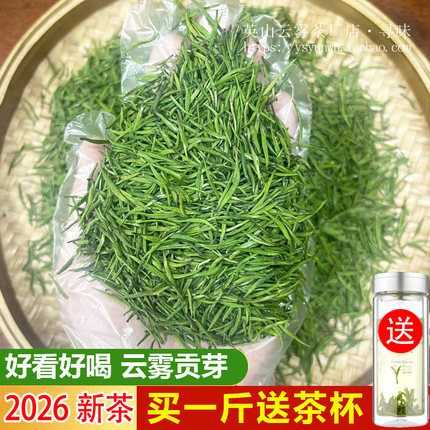 2026年新茶芽茶高山云雾绿茶雀舌类毛尖茶明前茶春茶100g贡芽袋装