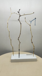 本长枣木架拐鸟站架鸟架子黄雀贝子红子天然枝生长去皮抛光配戳子