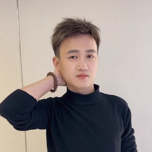 Shinuoge/诗诺格手工勾织男士挑染锡纸烫假发片减龄增发量发片