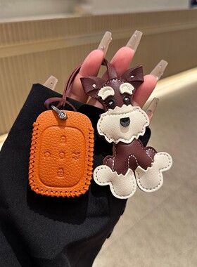 25款极狐T1钥匙套PRO北汽PLUSMAX钥匙套ARCFOX保护包壳扣雪纳瑞女