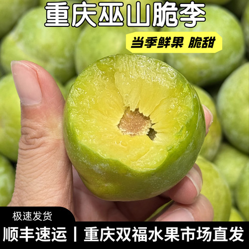 重庆巫山脆李大果2斤3斤5斤
