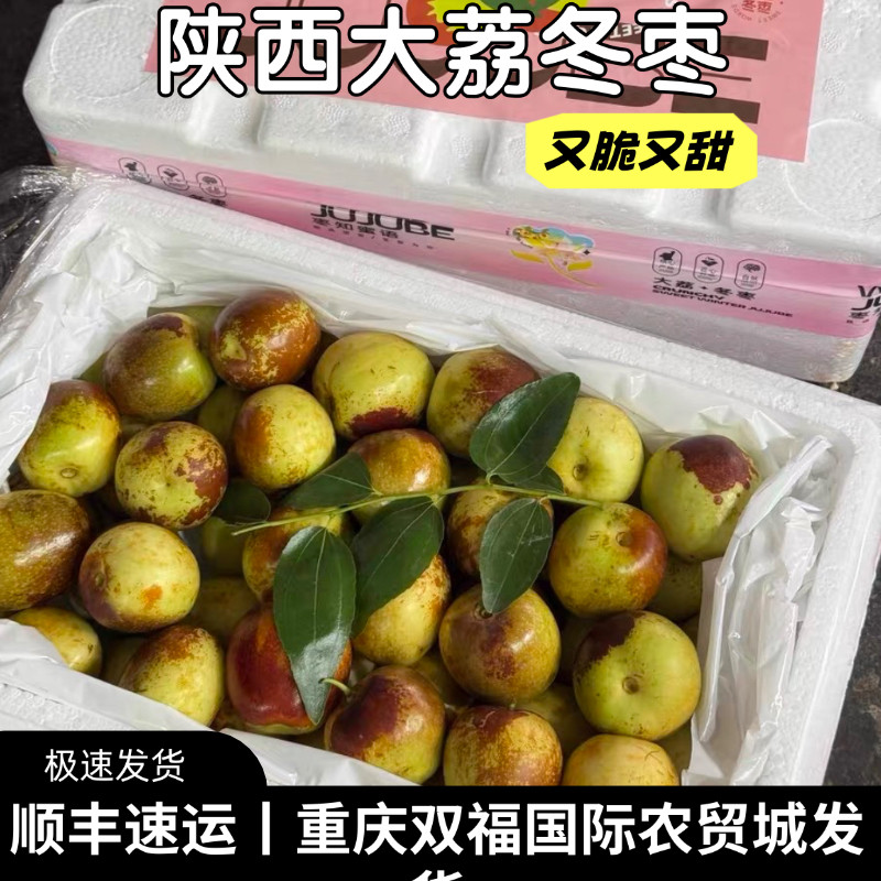 陕西大荔冬枣净重约2.8斤装脆甜多汁当季水果不是青枣子重庆双福