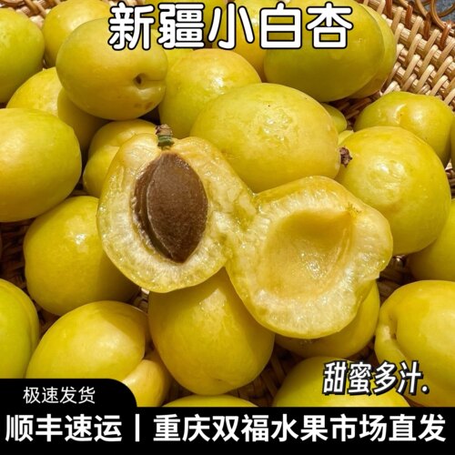 正宗新疆小白杏当季应季新鲜甜杏子整箱新疆特产净重约2.8斤双福