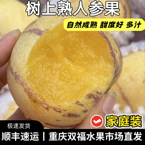 树上熟人参果大果3斤5斤10斤当季应季新鲜水果清甜多汁重庆双福