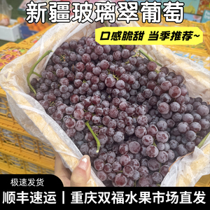 新疆玻璃翠葡萄净重约4斤脆甜