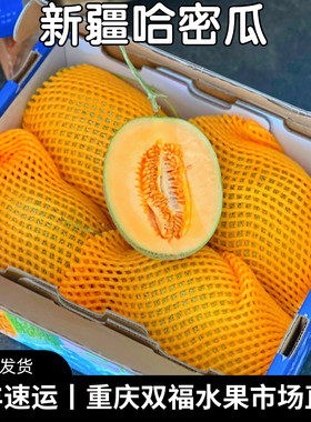 蜜知香新疆哈密瓜4个装当季水果