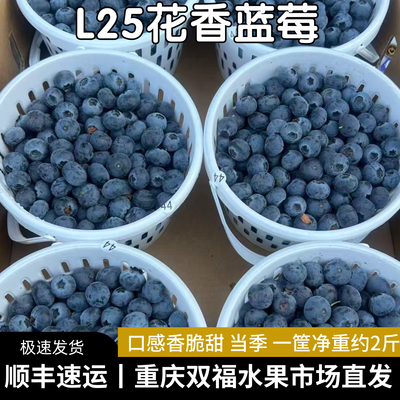 L25花香蓝莓 带框约2.3斤净重约2斤口感香脆甜当季水果重庆双福