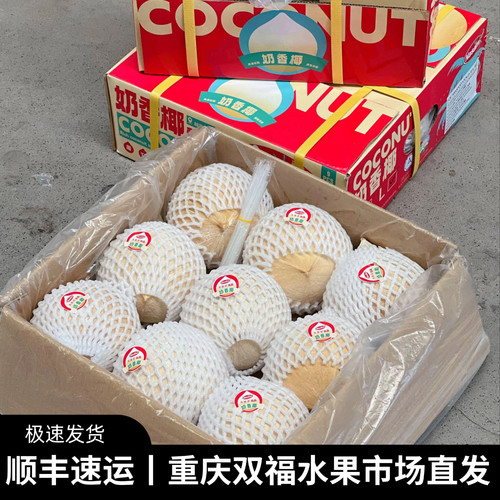 越南奶香椰皇9个装当季新鲜进口椰子不是椰青重庆双福发货顺丰