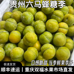 贵州镇宁六马蜂糖李2斤3斤5斤中果大果脆甜当季水果李子重庆双福