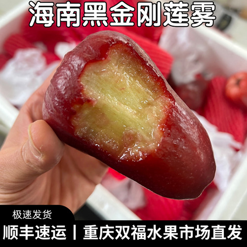 海南空运黑金刚莲雾大果家庭装