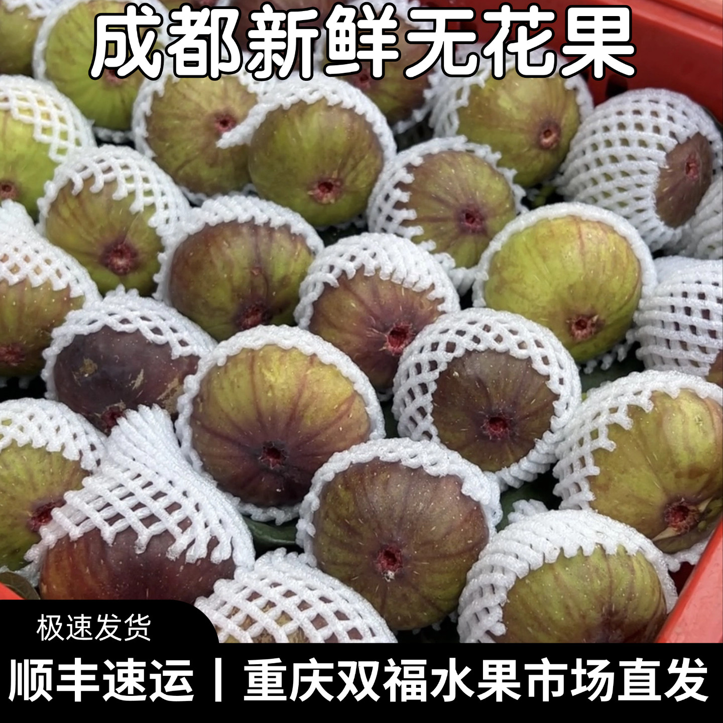 成都新鲜无花果3斤5斤家庭装