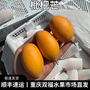 泰国进口枇杷芒家庭装当季应季新鲜水果重庆双福发货顺丰