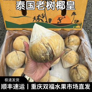520g进口椰子双福发货顺丰 型单果约460 泰国老树椰皇5个10个装