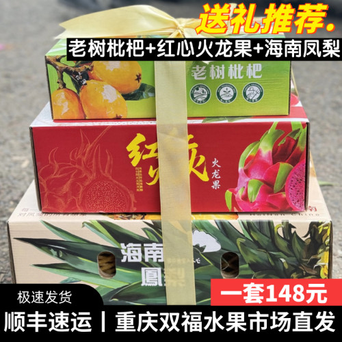 海南凤梨+老树枇杷+红心火龙果水果组合礼盒装端午送礼客户长辈