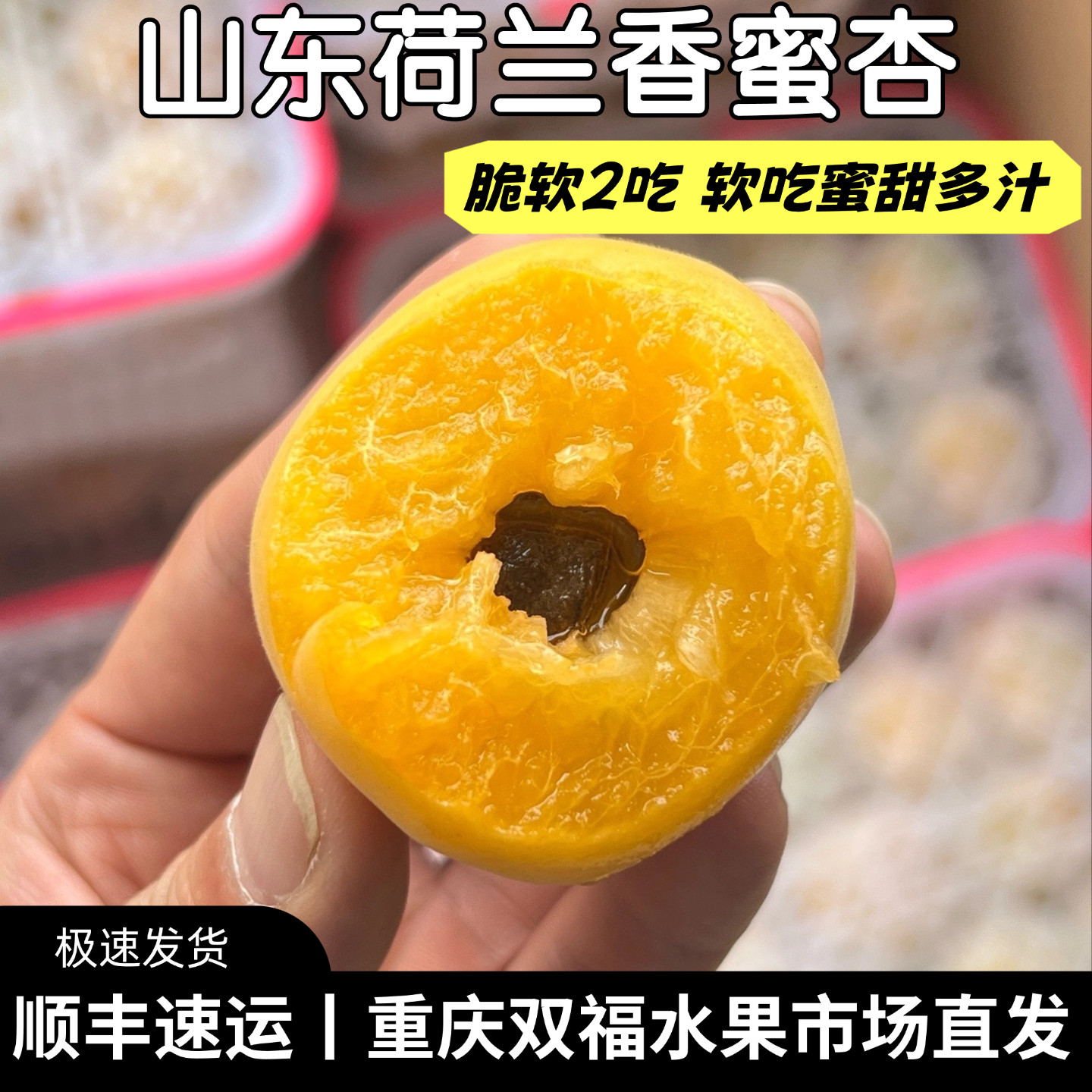 山东荷兰香蜜杏上新~非常好吃的杏子净重约2斤当季新鲜水果双福