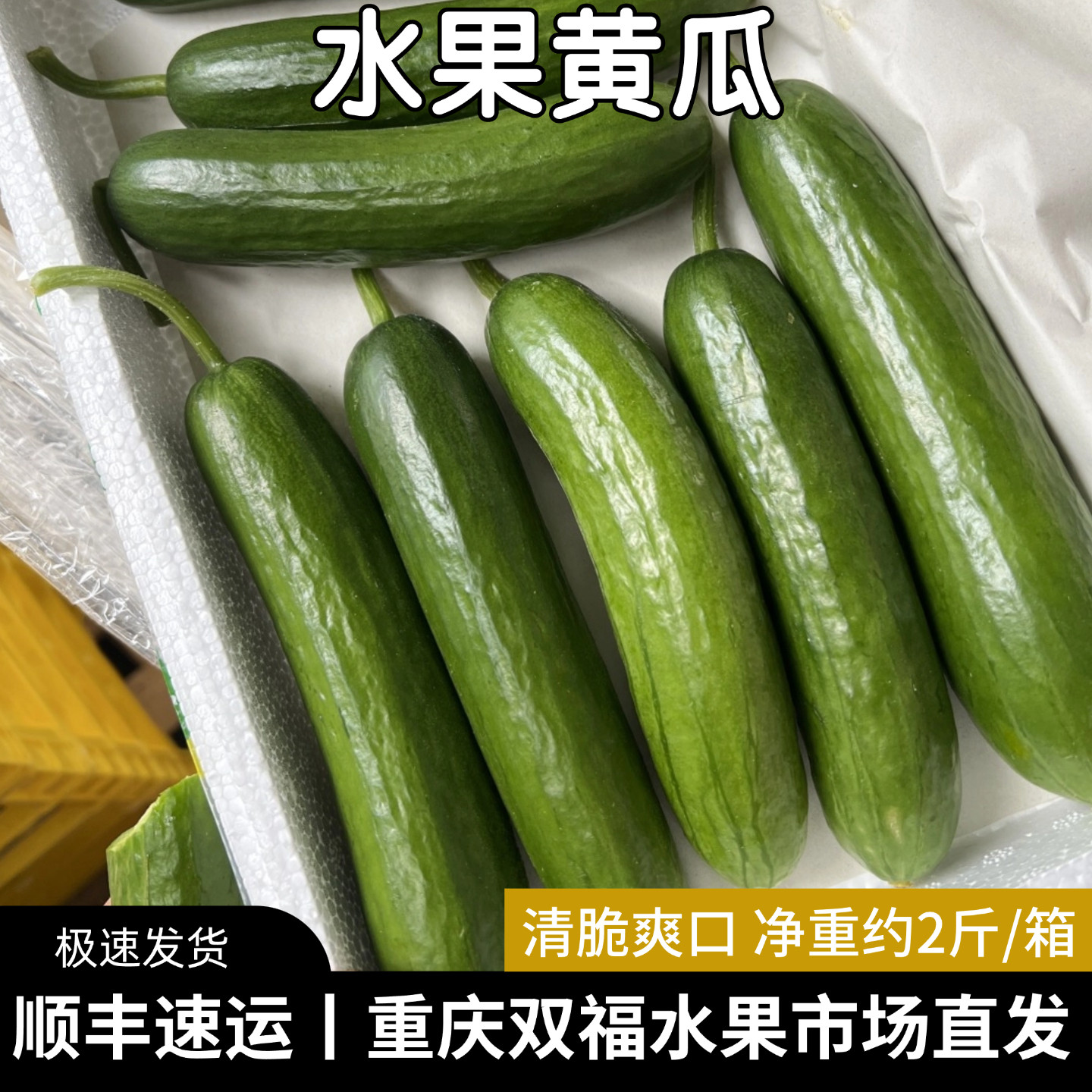即食水果黄瓜净重约2斤装新鲜蔬菜重庆双福直发小黄瓜顺丰