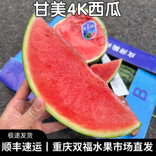 甘美4K西瓜1整个当季新鲜水果不是麒麟西瓜重庆双福同城顺丰