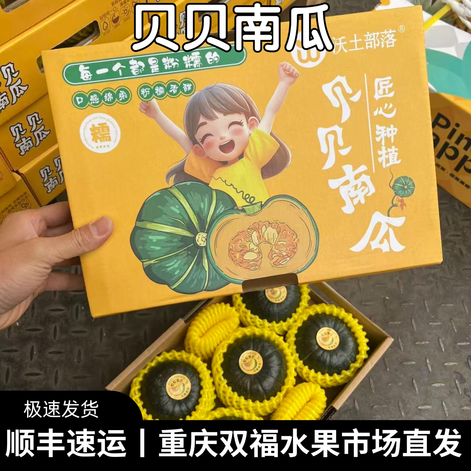新鲜贝贝南瓜5-6枚装新鲜南瓜板栗味净重约2.3斤/件双福发货顺丰