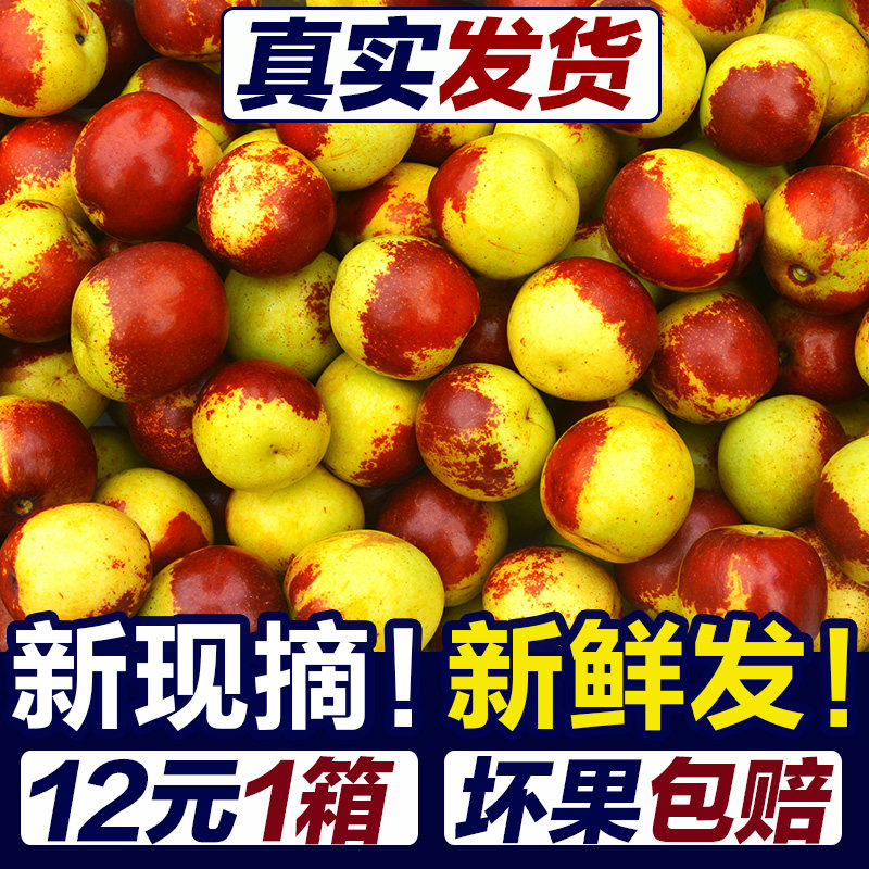 山东沾化冬枣新鲜水果当季整箱5斤现摘现发青枣脆甜多汁枣子新鲜