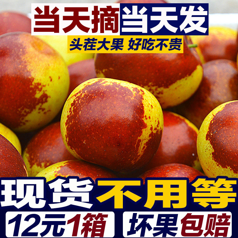 L1冬枣新鲜5斤山东沾化冬枣现摘现发当季水果整箱脆甜枣子新鲜