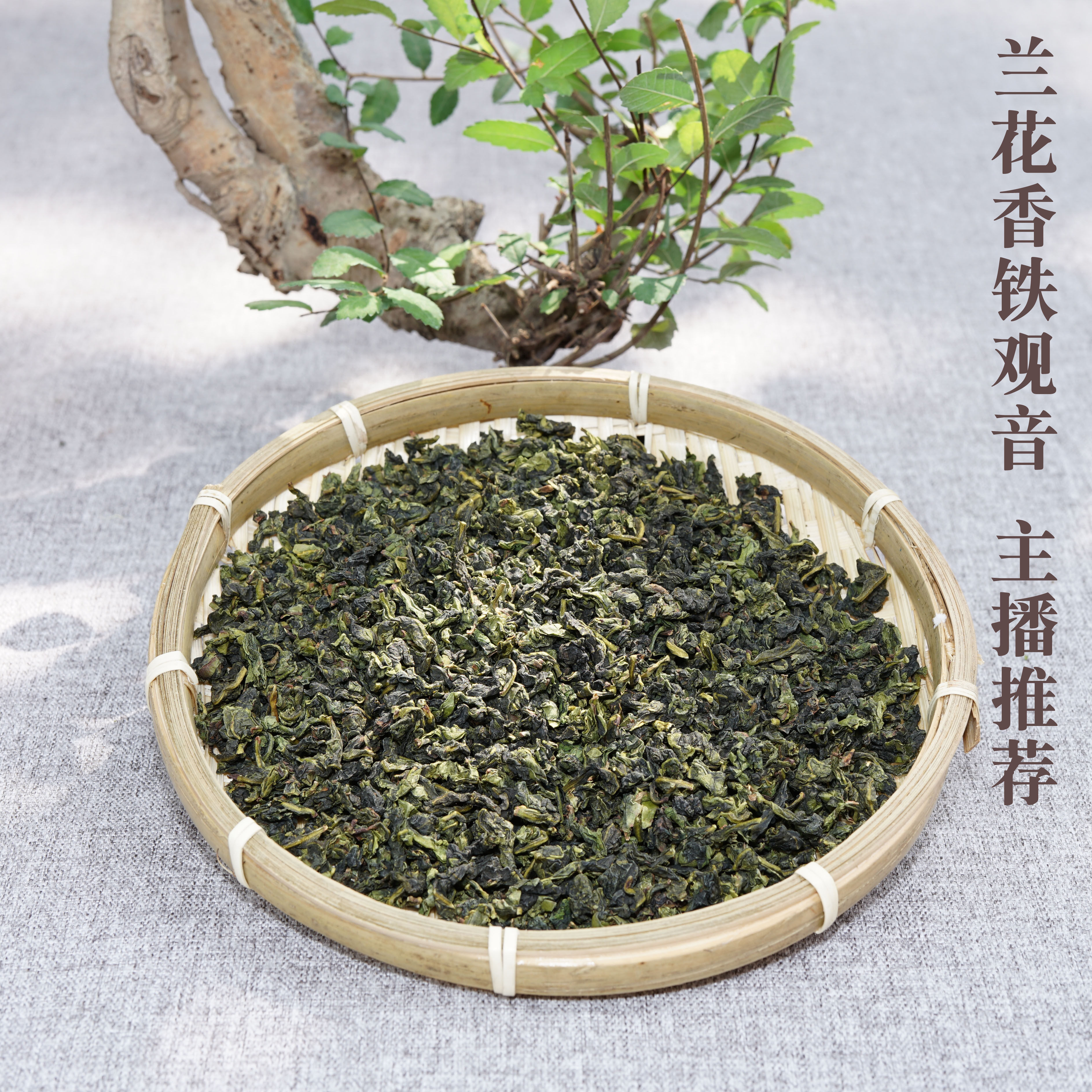 新茶正宗安溪铁观音崎山韵香正味兰花香茶叶特级茶农直销甘甜250g