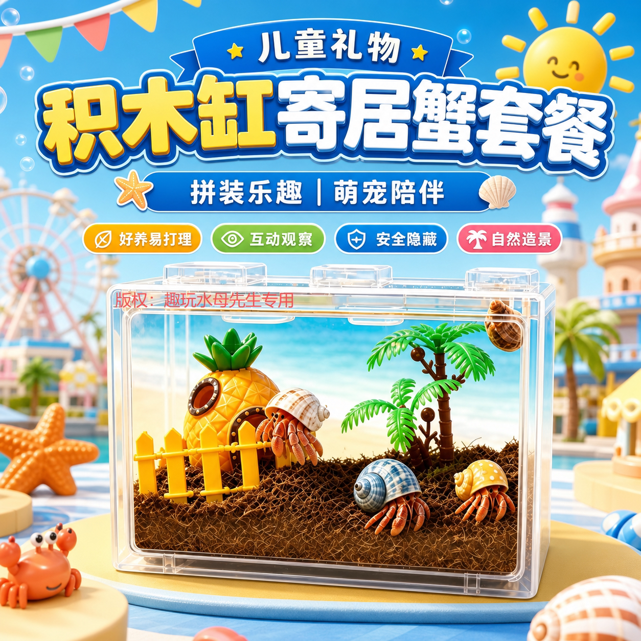 网红积木缸寄居蟹新手套餐