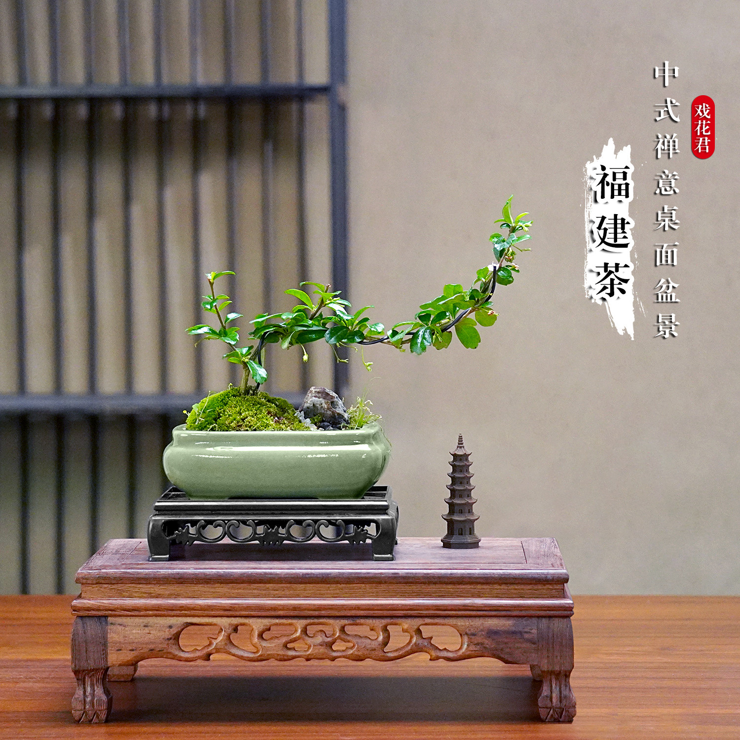 福建茶造型盆栽室内禅意花卉绿植茶卓摆件办公室桌面植物小型盆景