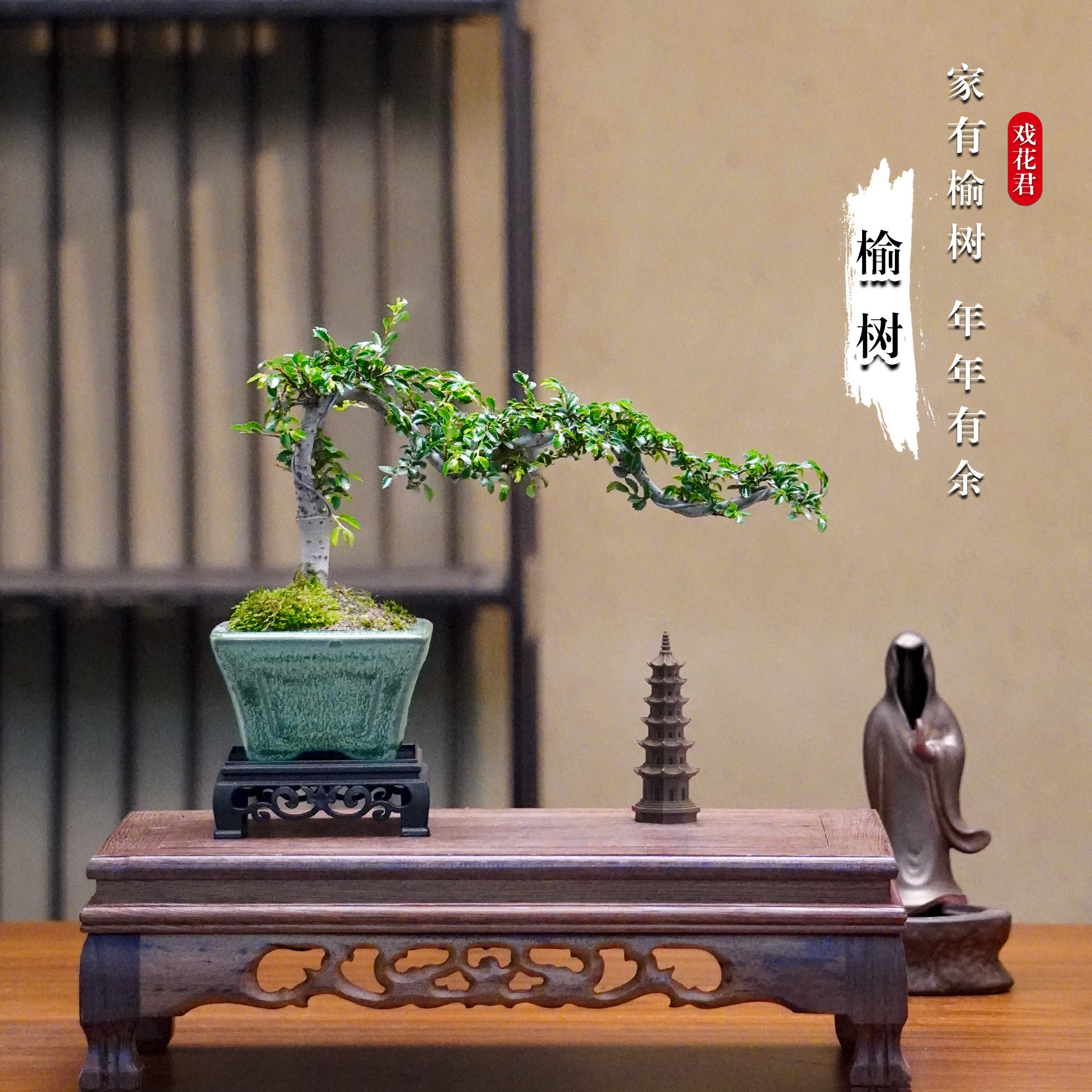 榆树老桩盆景悬崖造型盆栽室内办公室桌面茶桌禅意小型微景观植物