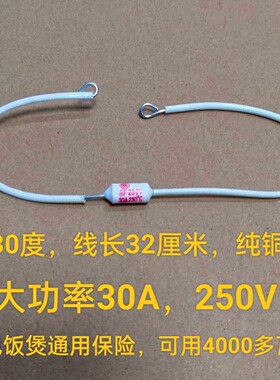 30A大电流230度250V电饭锅温度保险丝陶瓷热熔断器保险管铜线32长