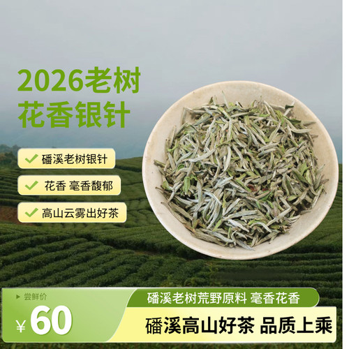 福鼎白茶2026年高山老树花香白毫银针正宗磻溪头春中期春茶茶叶