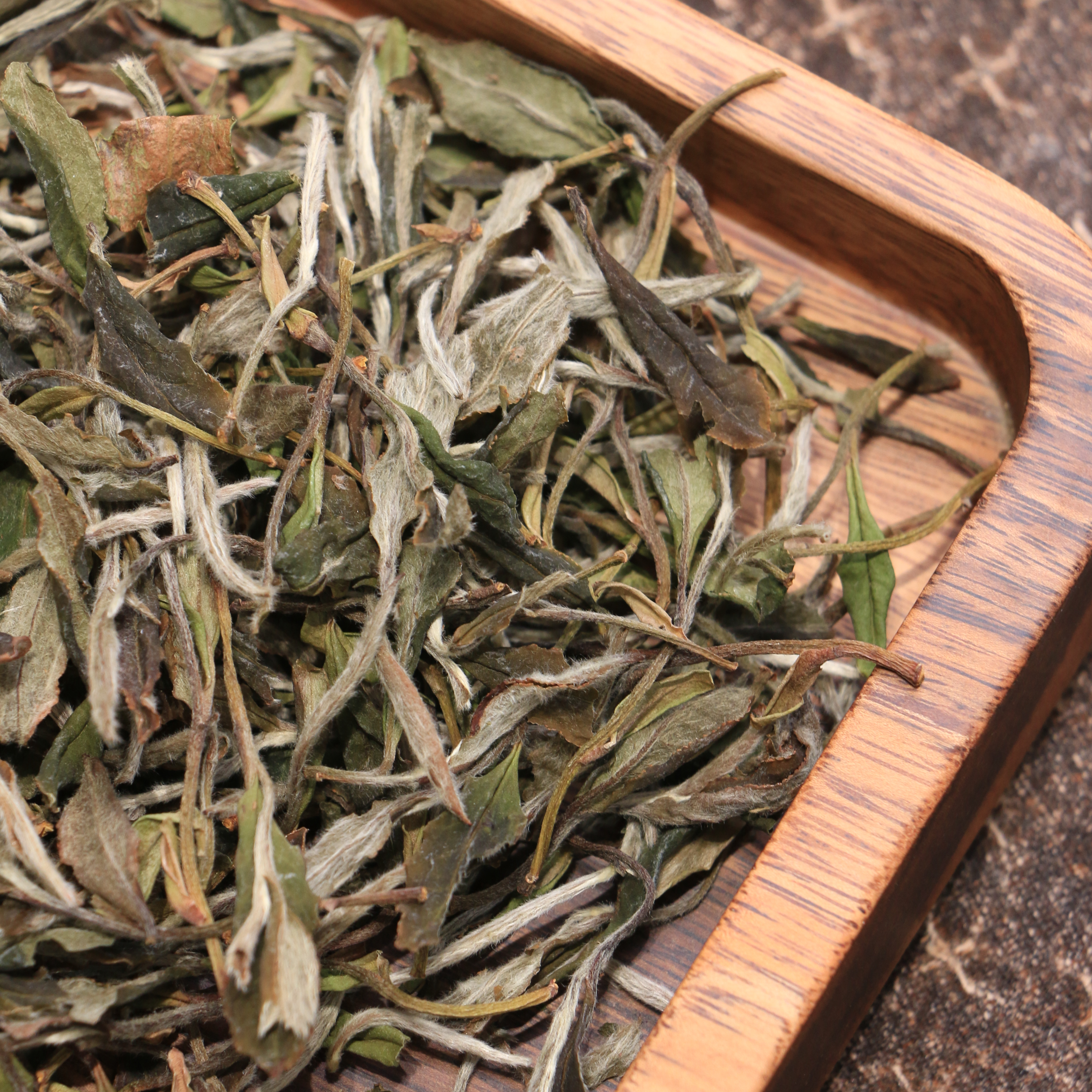 直播间专属 福鼎白茶2021年古树荒野白牡丹50克