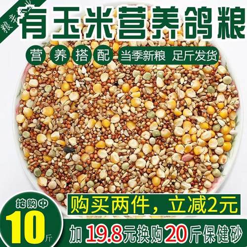 营养有玉米鸽粮赛飞肉鸽观赏鸽