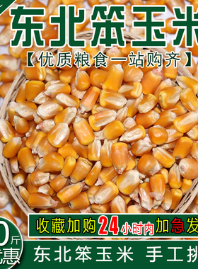 东北农家玉米玉米粒 大粒干玉米酿酒喂鸽子粮杂粮新鲜20斤10kg装