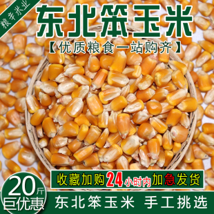 东北农家玉米玉米粒 大粒干玉米酿酒喂鸽子粮杂粮新鲜20斤10kg装