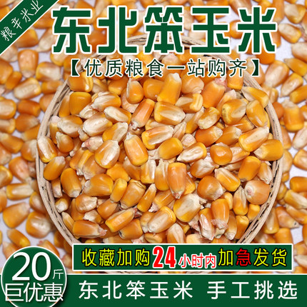 东北农家玉米玉米粒 大粒干玉米酿酒喂鸽子粮杂粮新鲜20斤10kg装