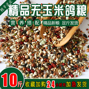 精品无玉米鸽粮营养搭配杂粮鸽子食成鸽幼鸽信鸽鸽子粮5kg装