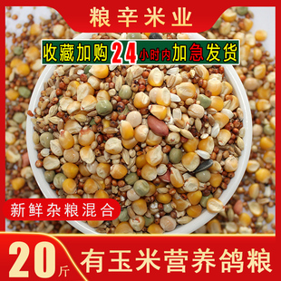 有玉米鸽粮赛飞营养饲料鸟食信鸽观赏鸽肉鸽鸽粮鸽子食20斤10kg包