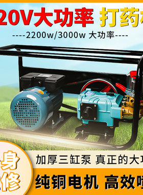 220v园林电动高压果树农用喷药器
