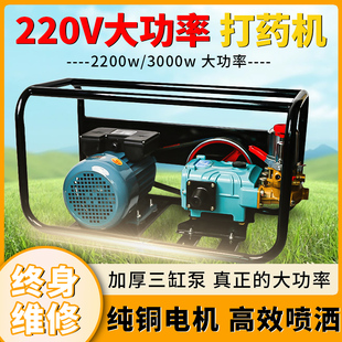 220v电动打药机高压农用果园园林220伏喷药雾化机电机喷雾器 新款